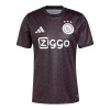 Maillot de Supporter Ajax Amsterdam Pre-Match 2024-25 Pour Homme